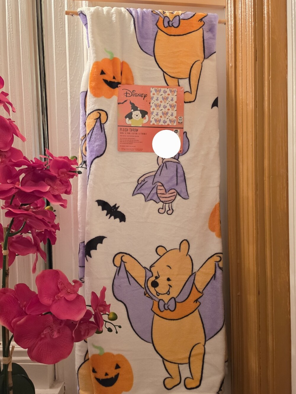 DISNEY Winnnie The Pooh Halloween Plush Throw Blanket